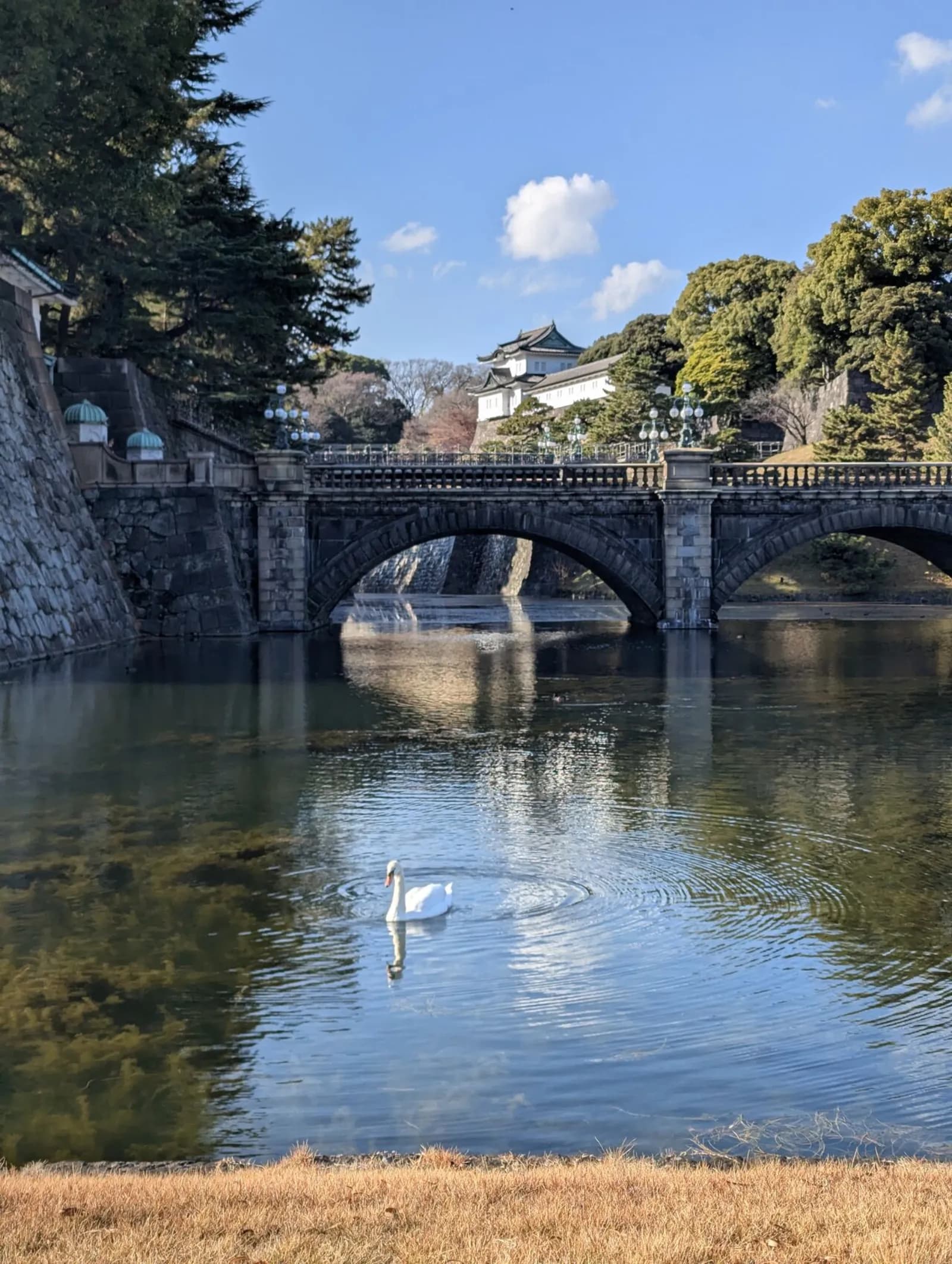 NetWalking #001: Palace Walk!🏯 — photo 1