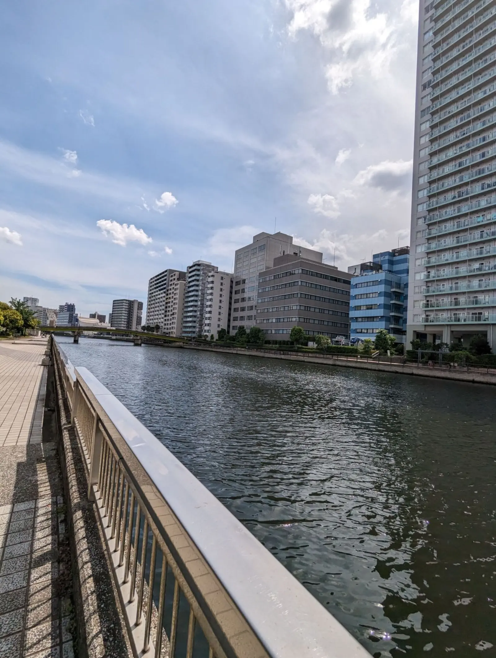 NetWalking #004: Bayside Walk🍂