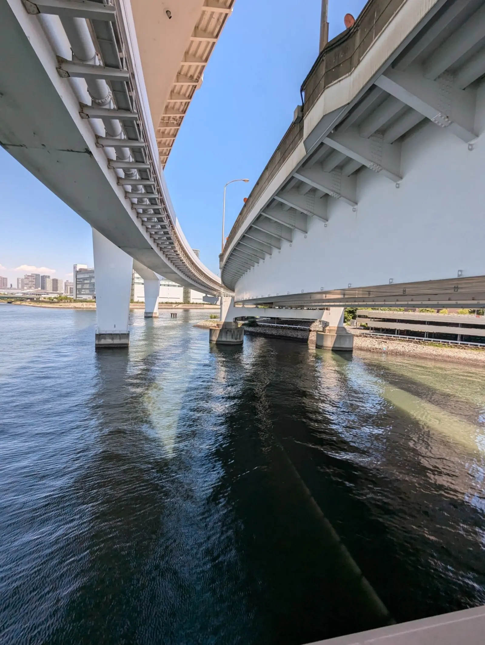 NetWalking #005: Rainbow Bridge!🌈