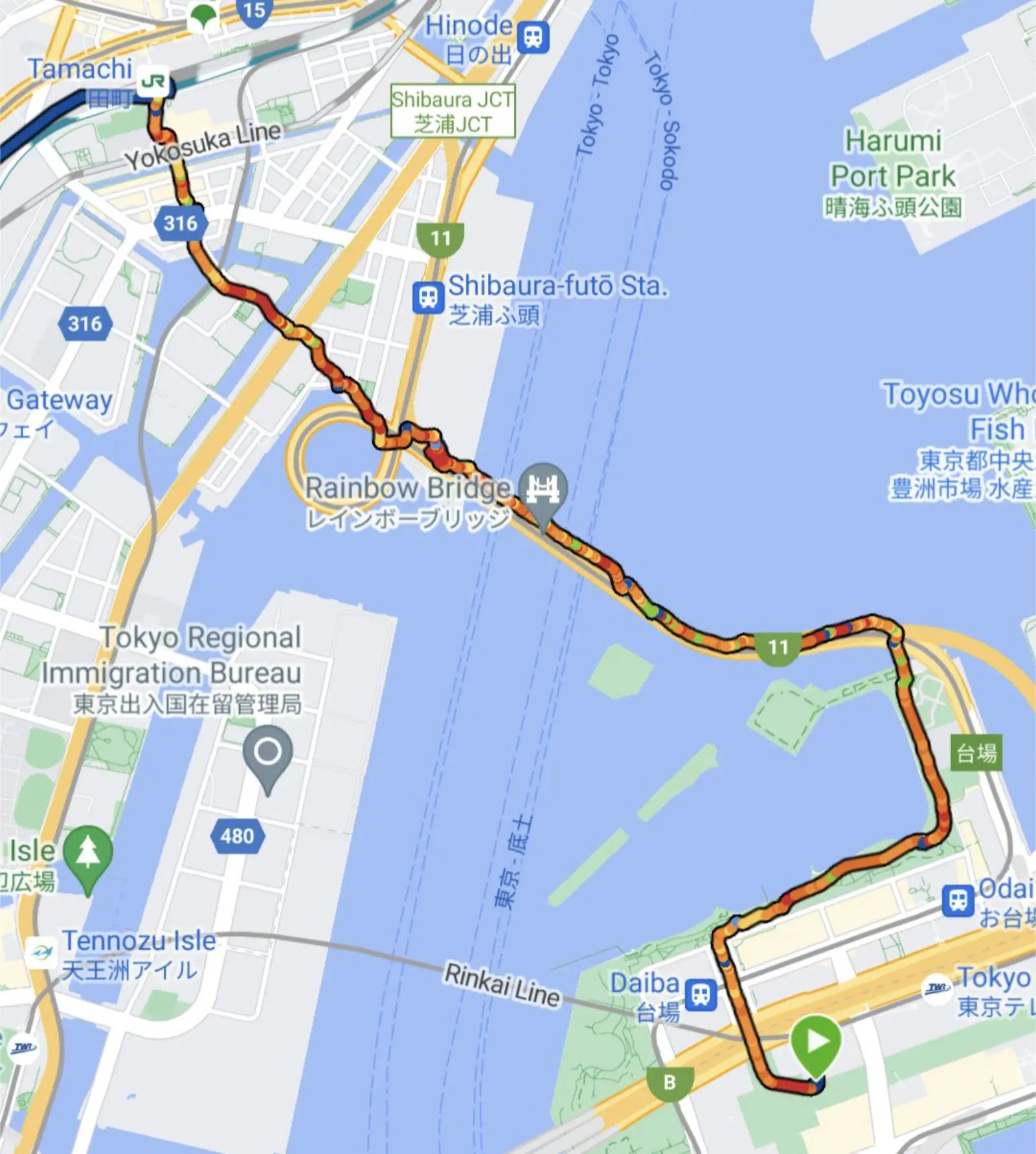 NetWalking #005: Rainbow Bridge!🌈