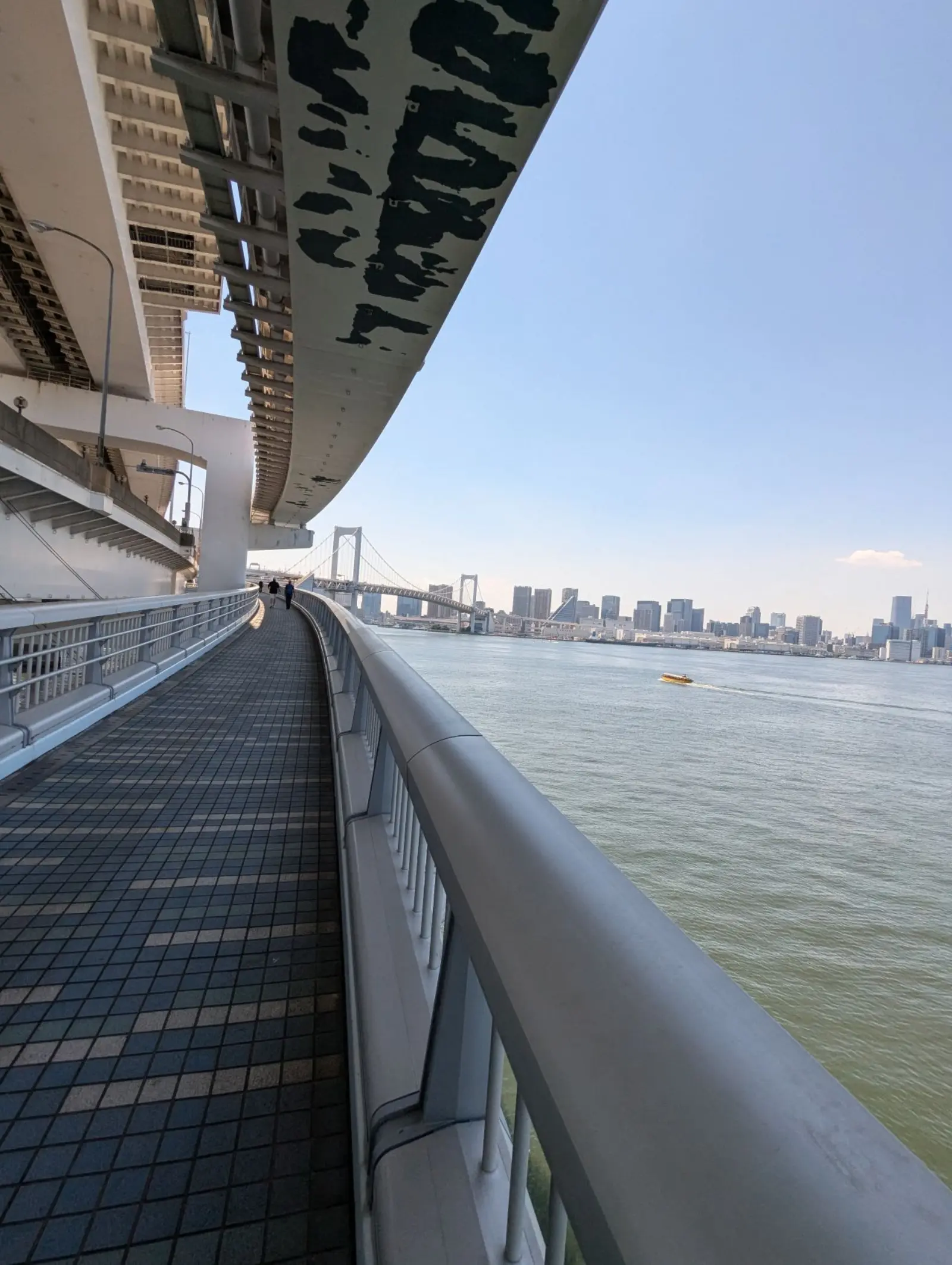 NetWalking #005: Rainbow Bridge!🌈