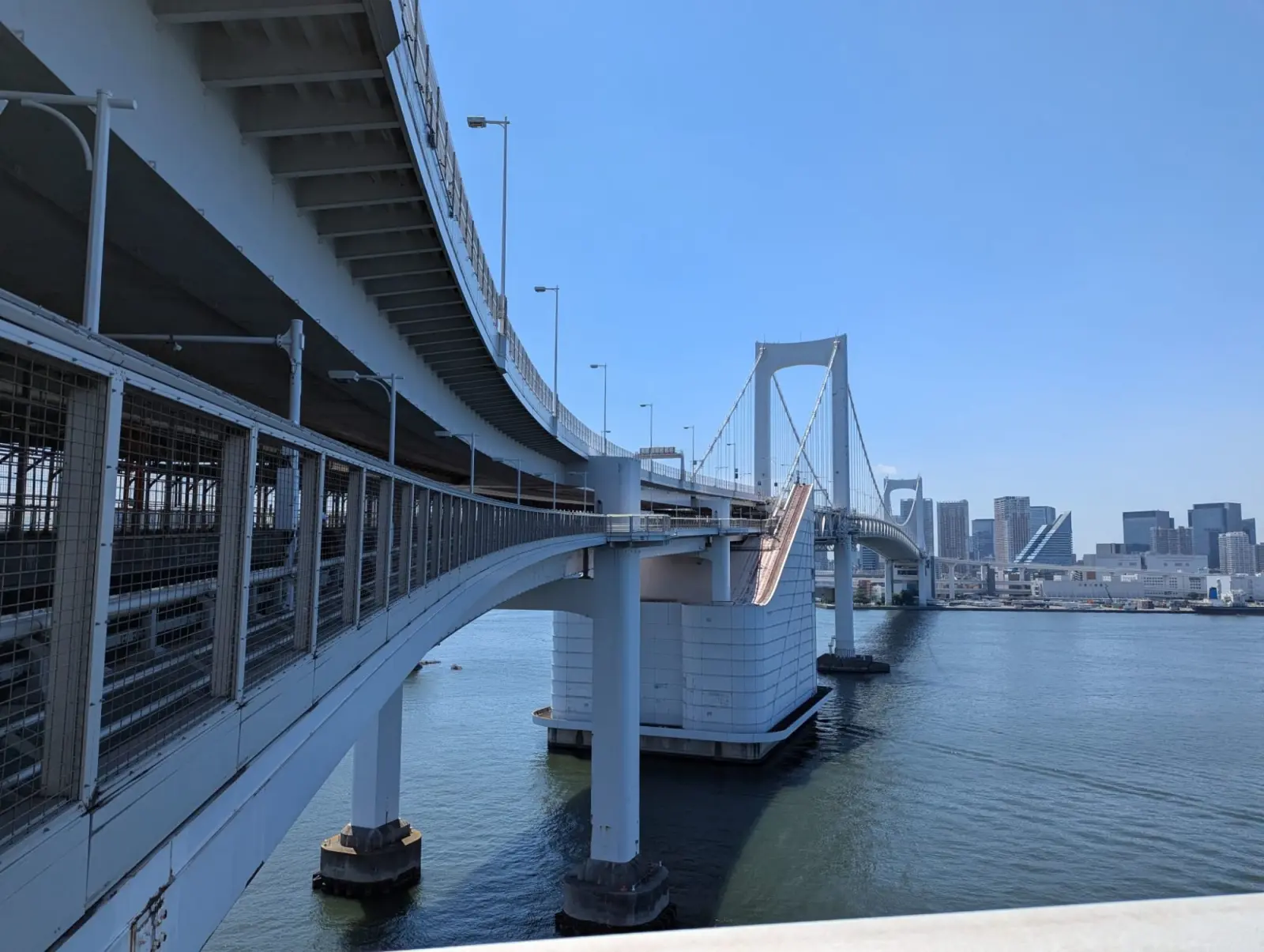 NetWalking #005: Rainbow Bridge!🌈
