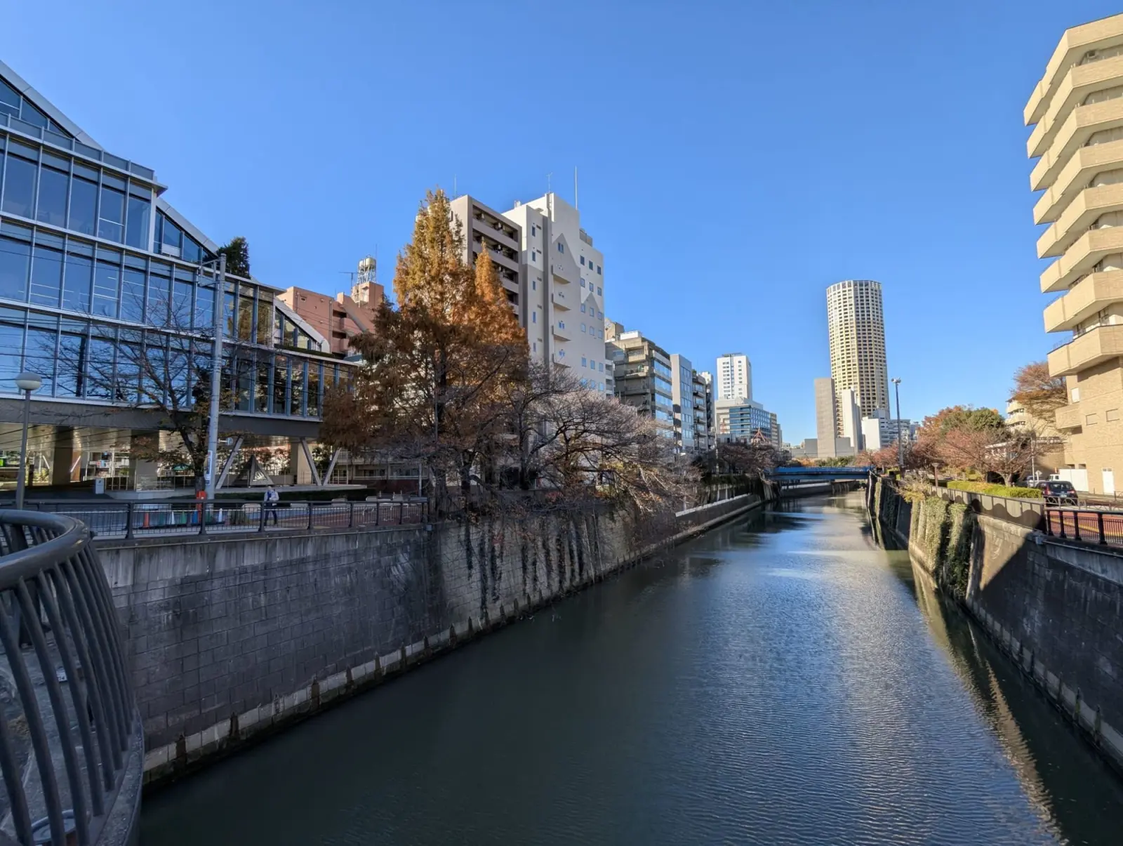 NetWalking #007: Meguro River Walk!🌉
