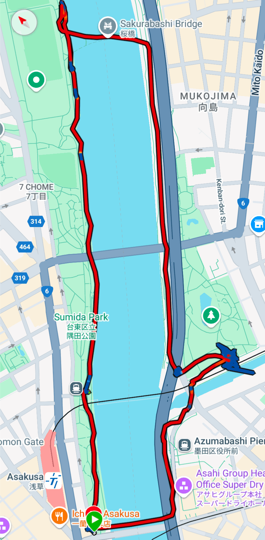 NetWalking #008: Sumida River Walk🍂