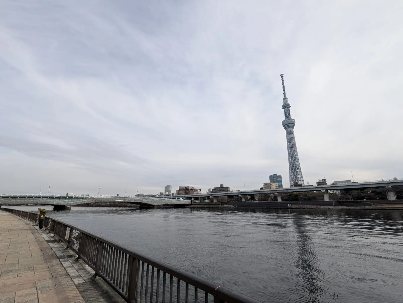 NetWalking #008: Sumida River Walk🍂