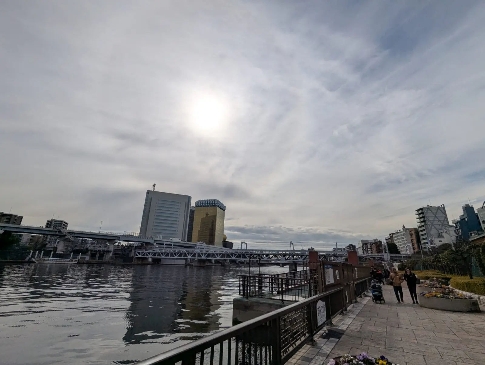 NetWalking #008: Sumida River Walk🍂
