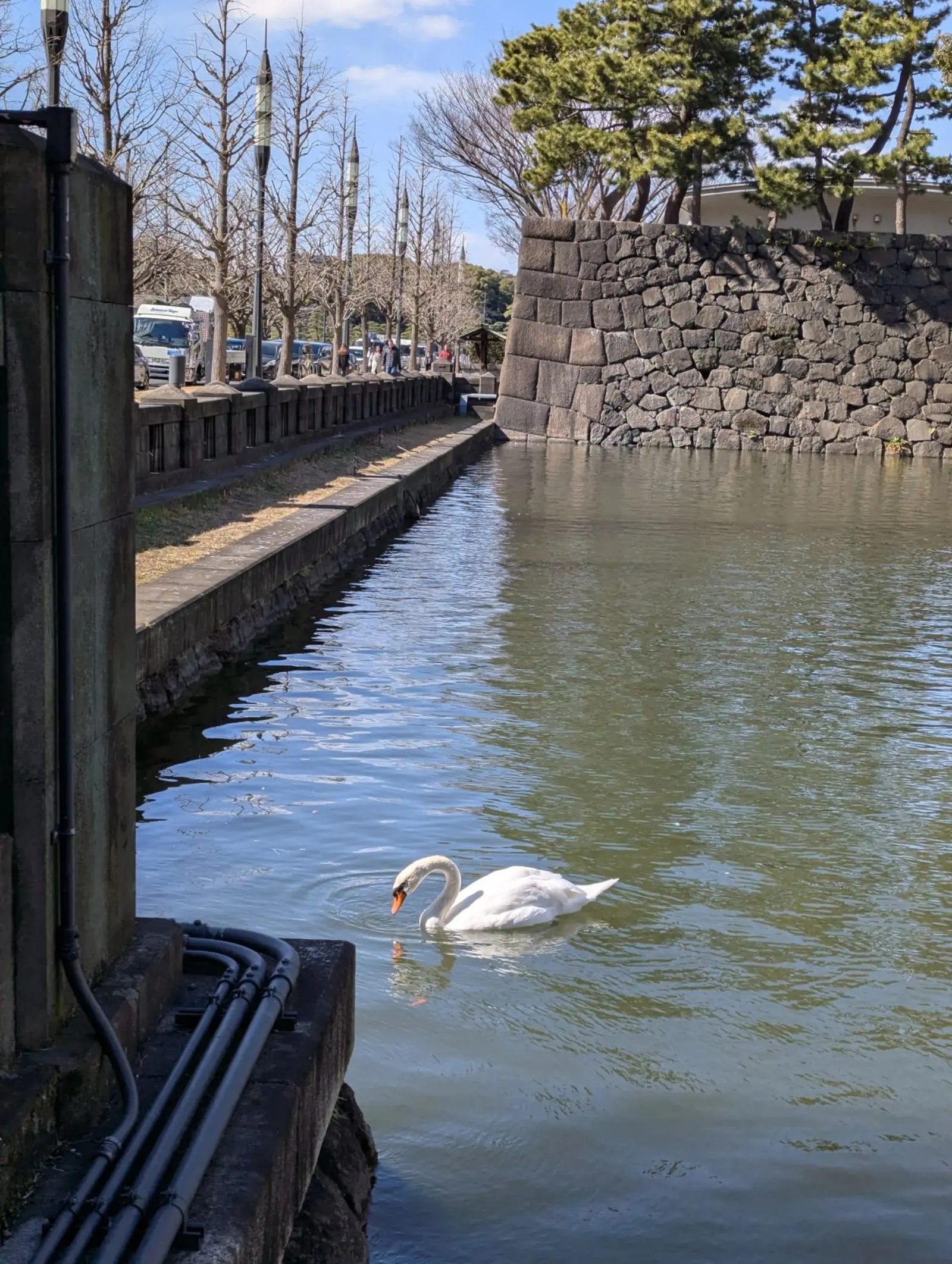 NetWalking #009: Palace Walk!🏯