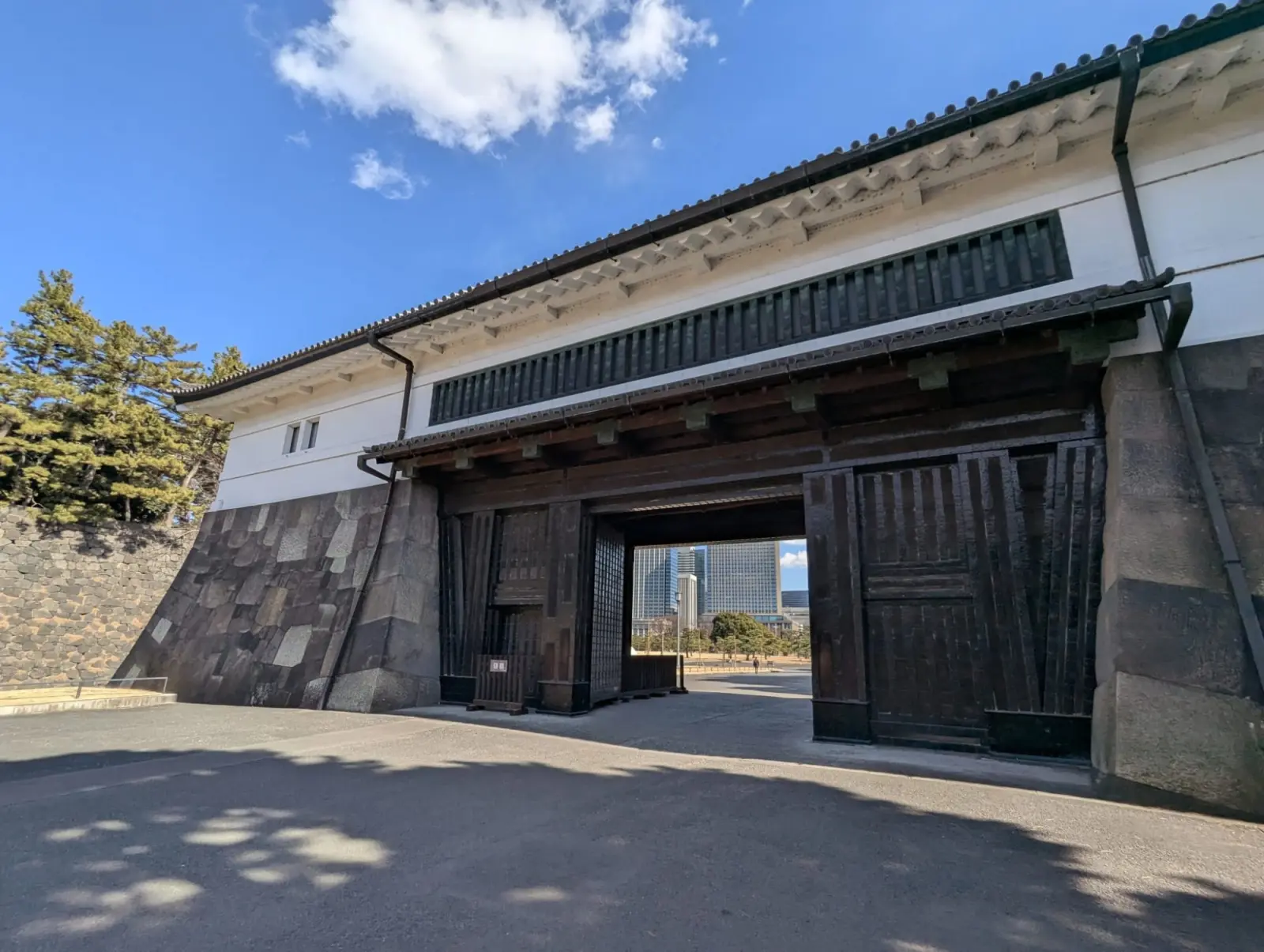 NetWalking #009: Palace Walk!🏯