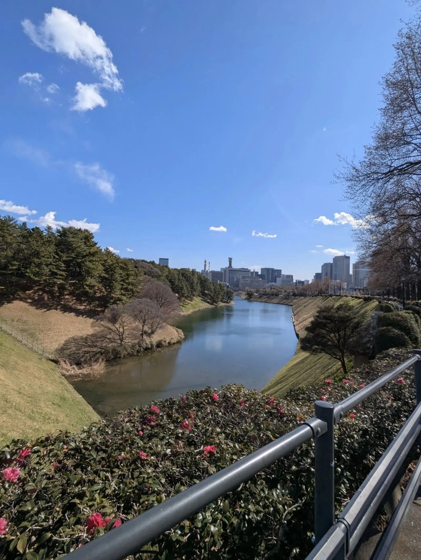 NetWalking #009: Palace Walk!🏯