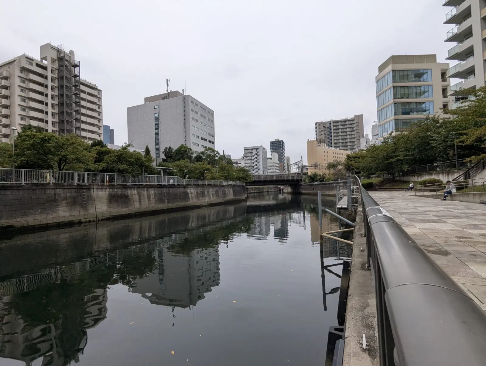NetWalking #015: Meguro River Rd.2🍂
