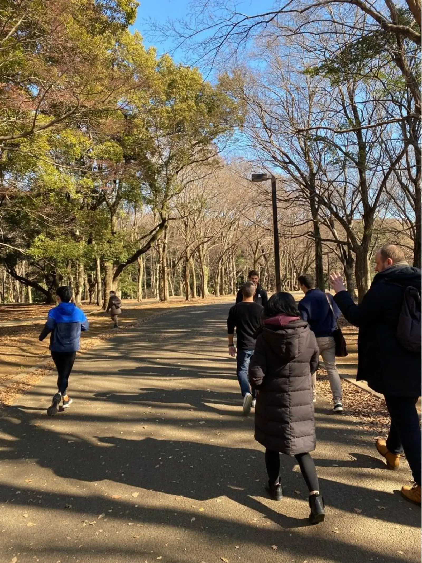 NetWalking #002: Yoyogi Walk🍂