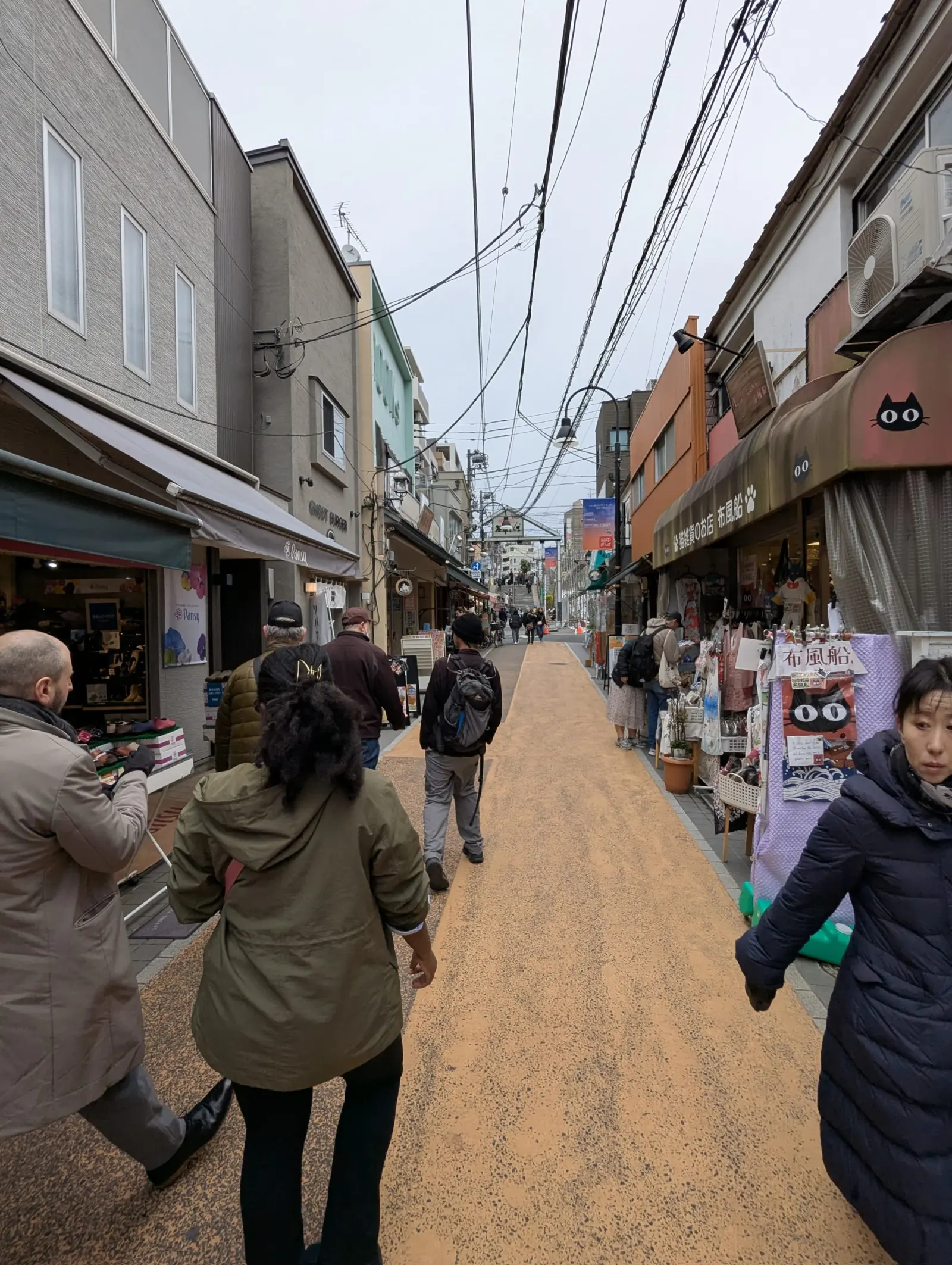 NetWalking #010: Hanami Walk!🌸