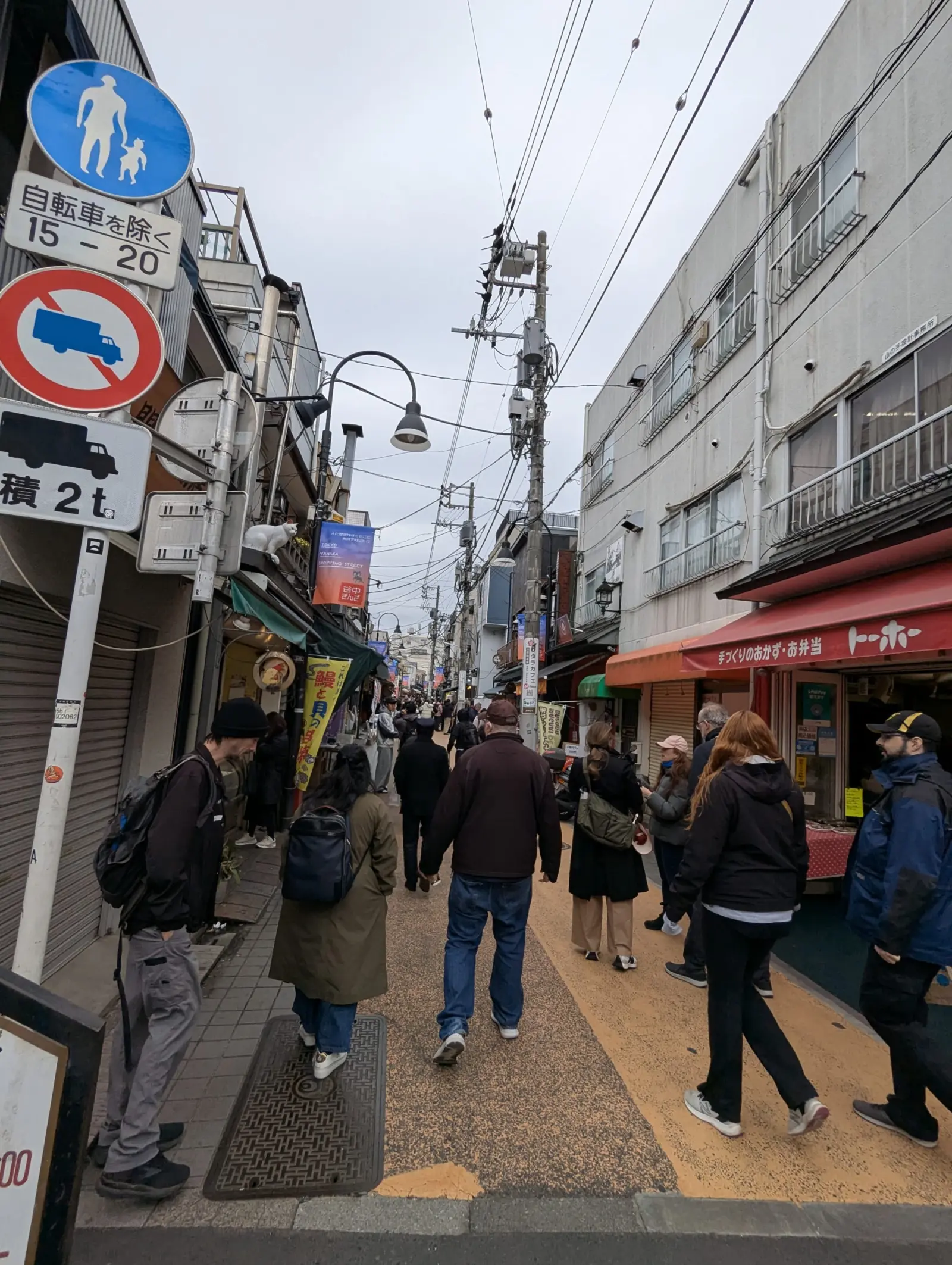 NetWalking #010: Hanami Walk!🌸