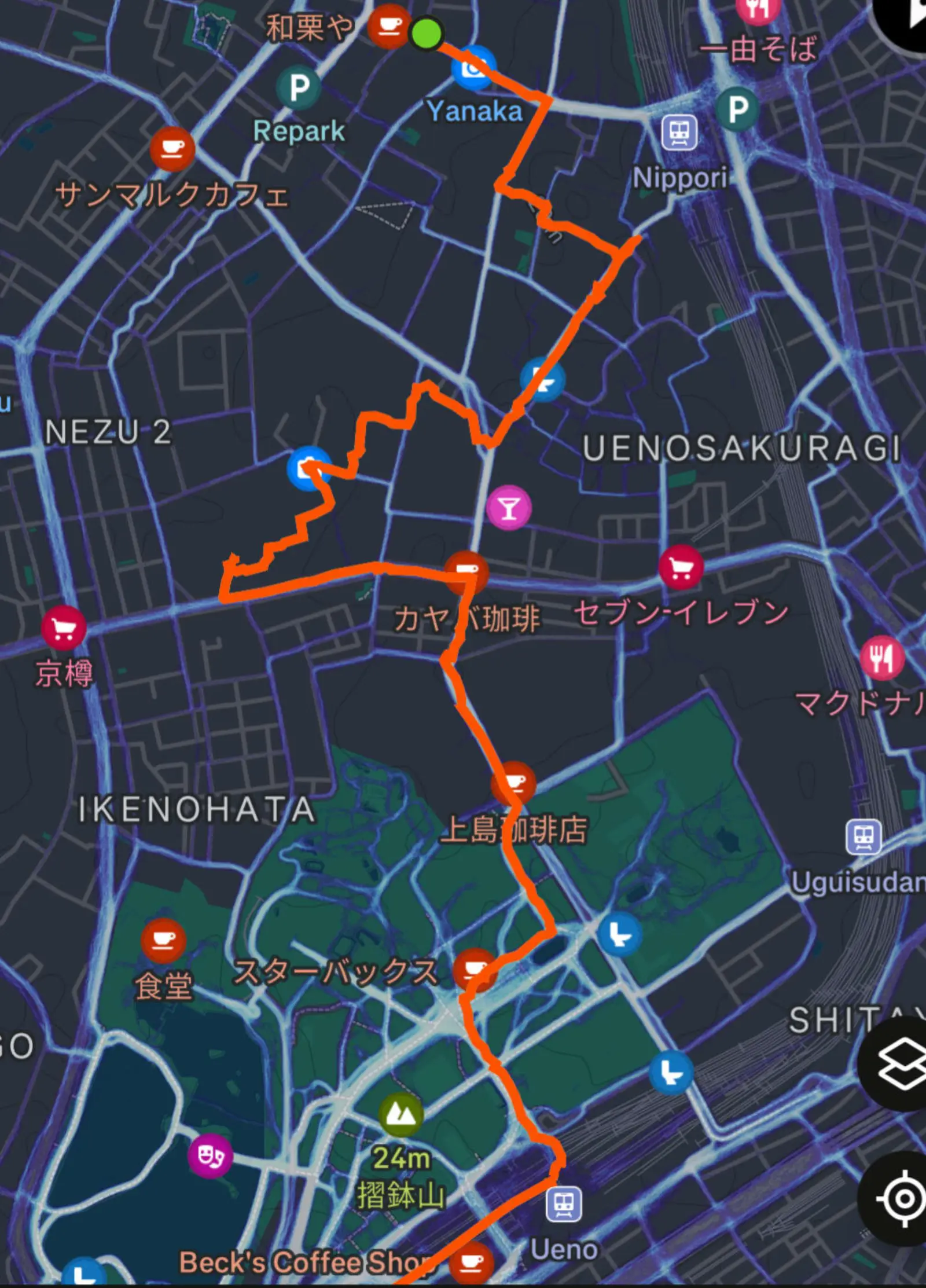 NetWalking #010: Hanami Walk!🌸
