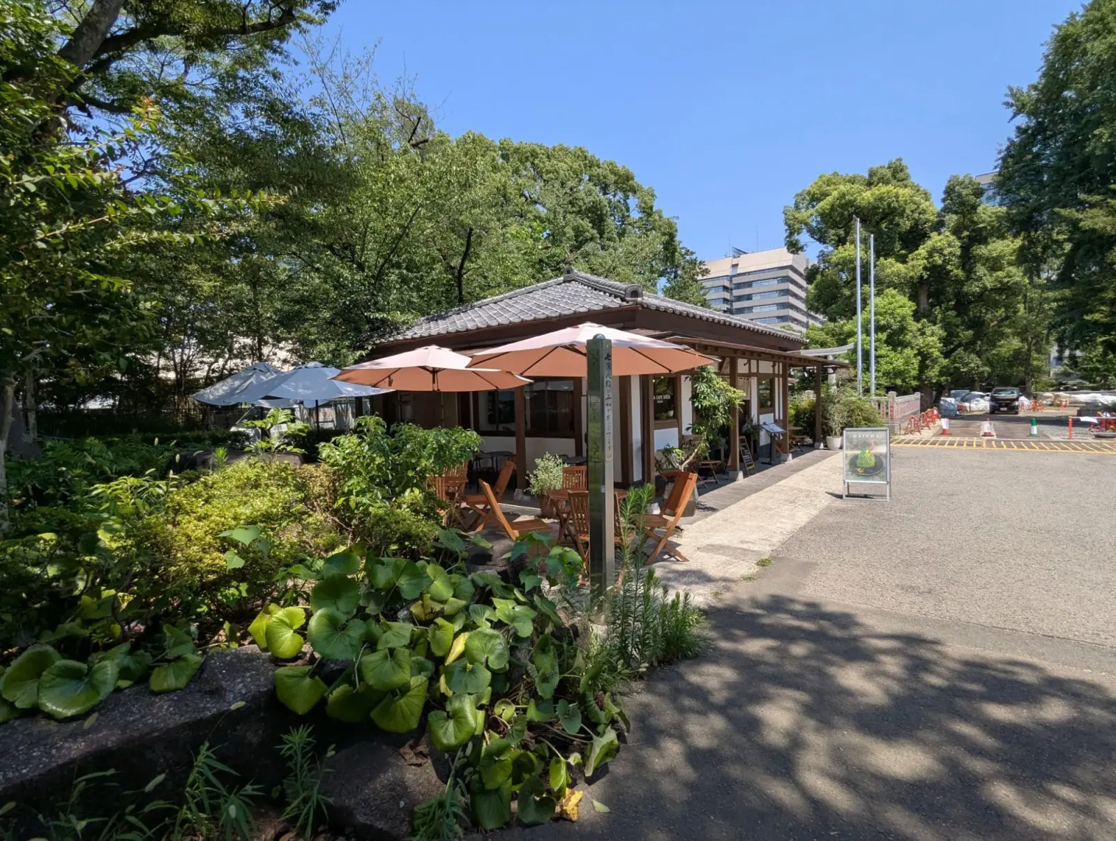 NetWalking #013: ่ๅ
ฌๅ Shiba Park! ๐ผ