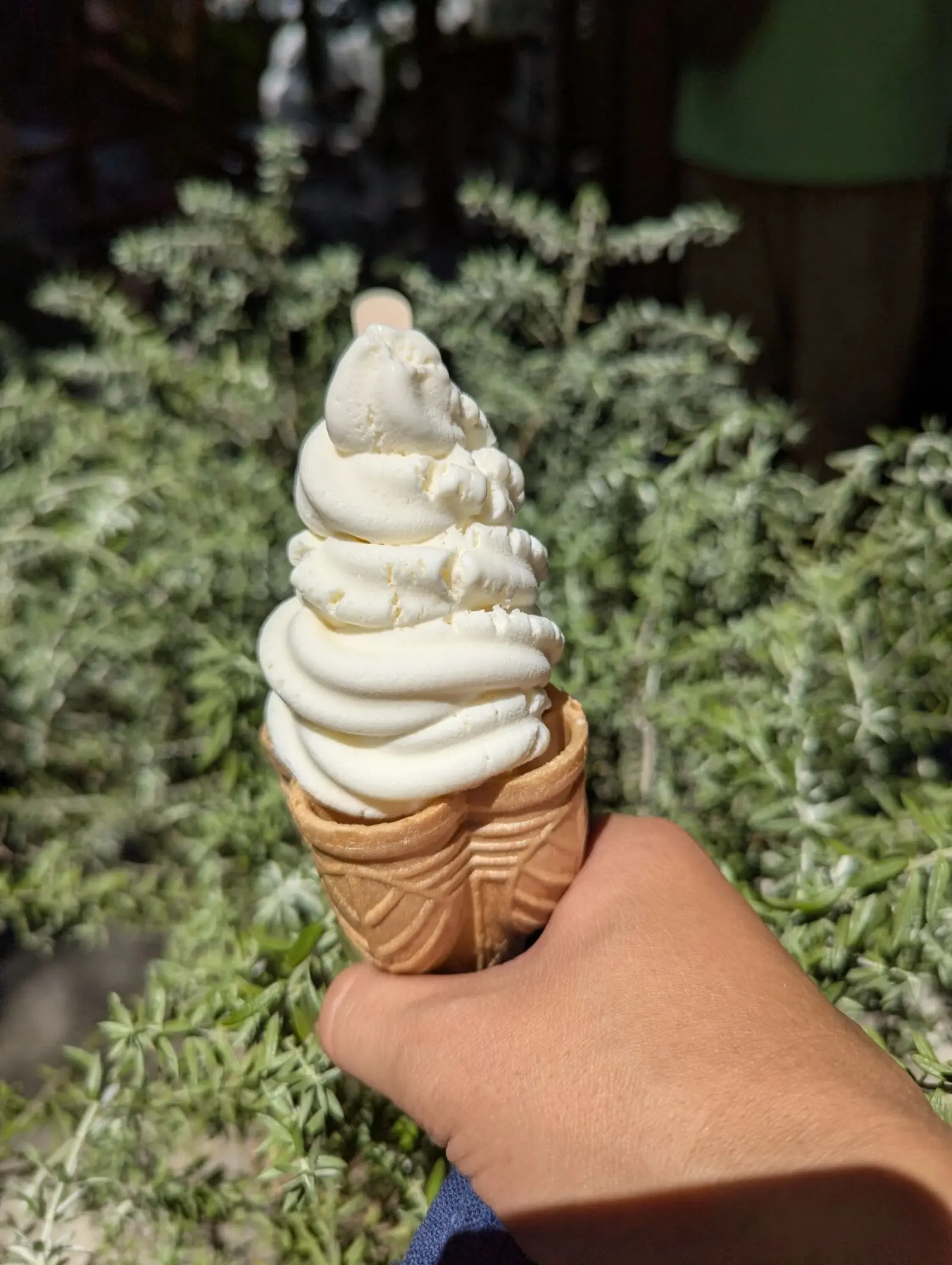 NetWalking #013: ่ๅ
ฌๅ Shiba Park! ๐ผ